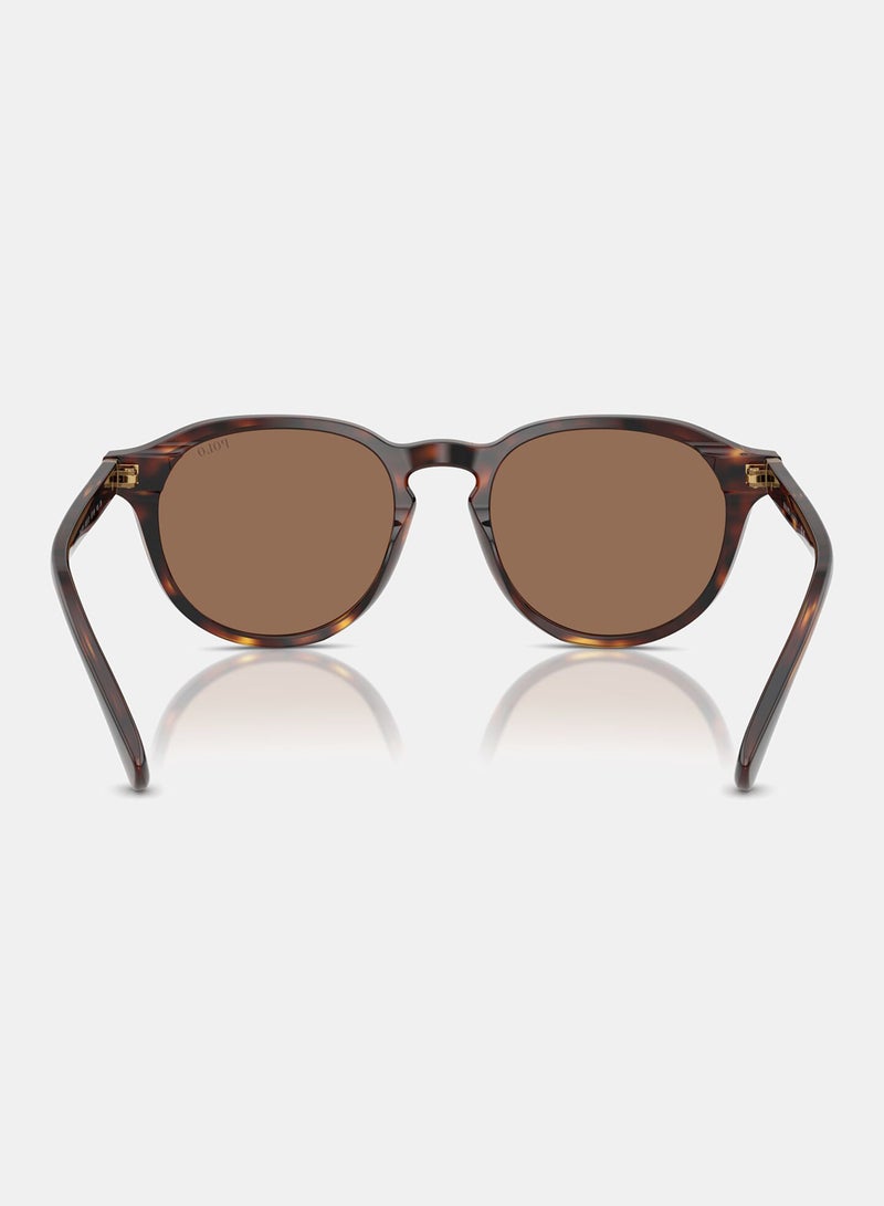 POLO RALPH LAUREN Full Rim Phantos Sunglasses 0PH4221 - Image 3